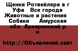 Щенки Ротвейлера в г.Уфа - Все города Животные и растения » Собаки   . Амурская обл.,Архаринский р-н